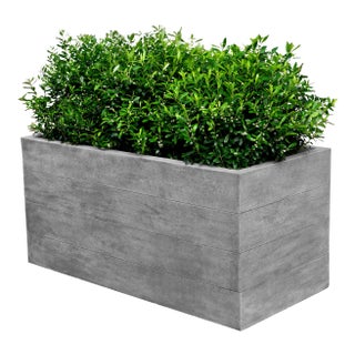 Chênes Brut Long Box Planter For Sale