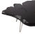 2010s Organic Modern Black Teak Root Living Edge Coffee Table For Sale - Image 5 of 6