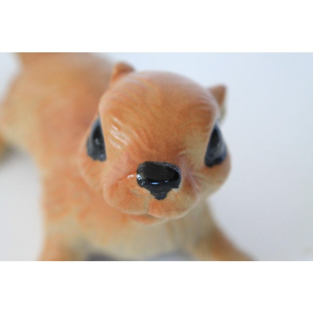 1960s Vintage Ceramic Squirrel Wall Climbers - A Pair For Sale - Image 5 of 8
