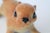 1960s Vintage Ceramic Squirrel Wall Climbers - A Pair For Sale - Image 5 of 8