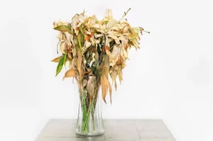 Lillian (Large Contemporary Still Life Flower Photograph), Les Schmidt