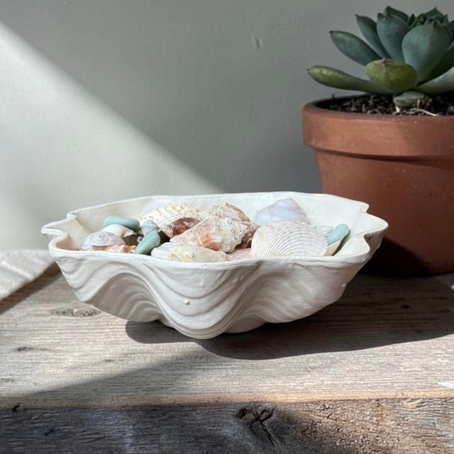 South Seas Stoneware Shell Bowl Planter For Sale - Image 10 of 10