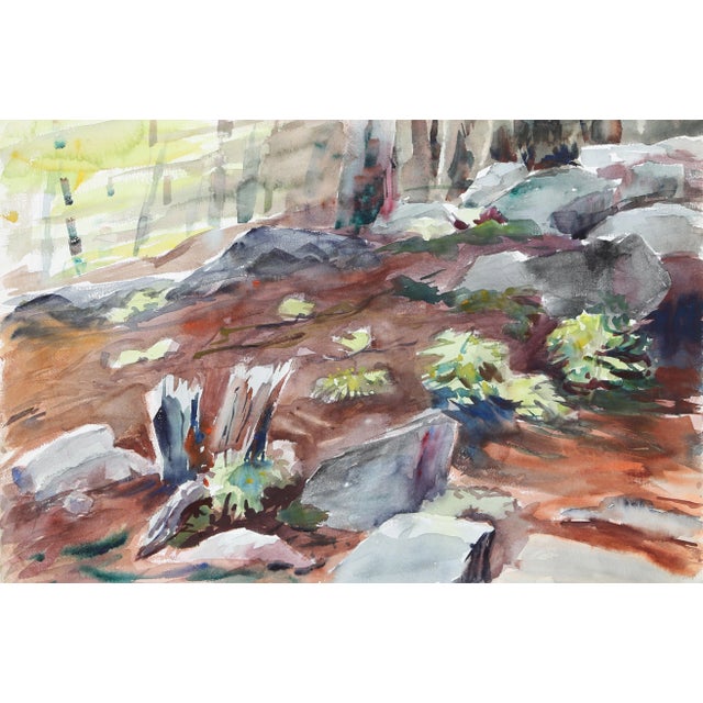 Eve Nethercott, Forest Floor (P1.27), Watercolor on Paper For Sale
