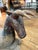 Striking and rich in character, an antique rare primitive Thai sculpture of a ram, having vestiges of original red and...