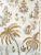 Lisa Fine "Pasha" Fabric Bamboo 6 Yards For Sale In Miami - Image 6 of 8