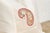 Pair of Ambi Ivory Paisley Pillow Cover For Sale In Los Angeles - Image 6 of 8