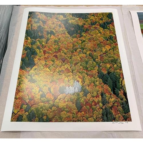 Bernhard Lang, Bavarian_Forest_02, Photograph For Sale - Image 6 of 9