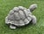 Shabby Chic Cast Stone Tortoise Garden Ornament For Sale - Image 3 of 7
