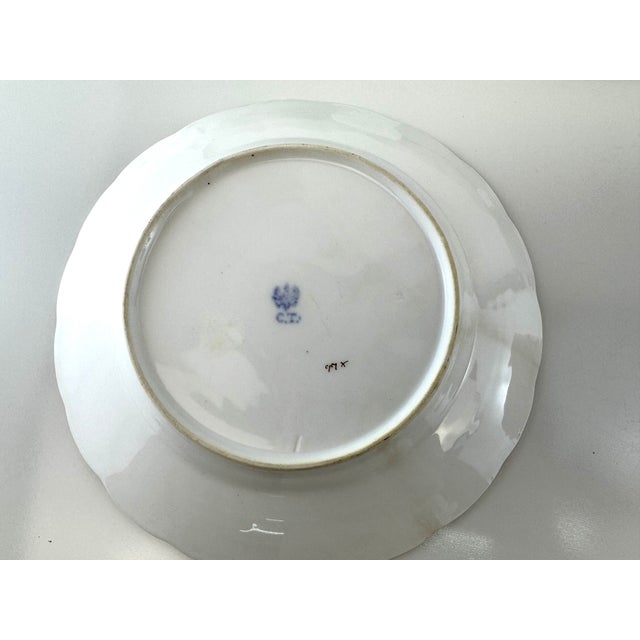 Antique German Porcelain Floral Plates in the Manner of Carl Tielsch - Set of 12 For Sale - Image 9 of 10
