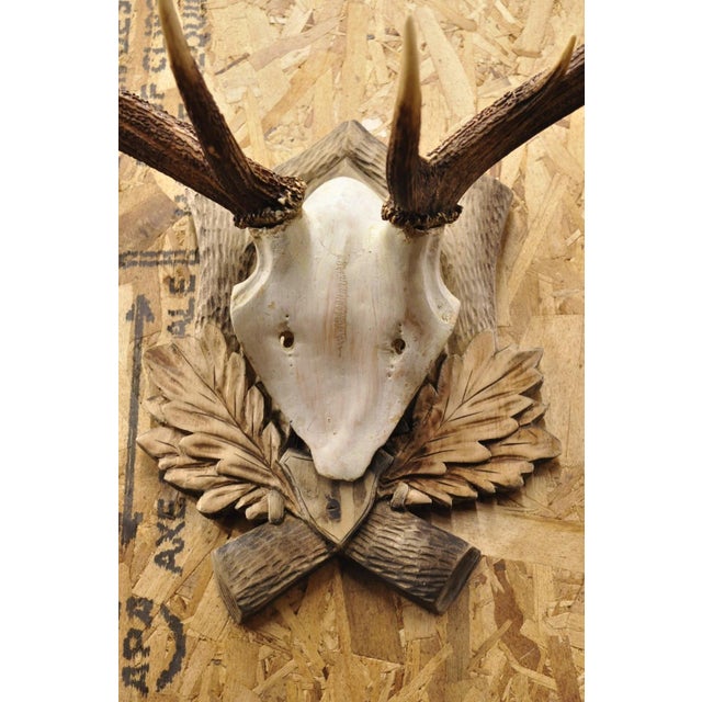 Antique Black Forest Victorian Wall Mounted Taxidermy Large Deer Skull & Antlers For Sale - Image 4 of 15