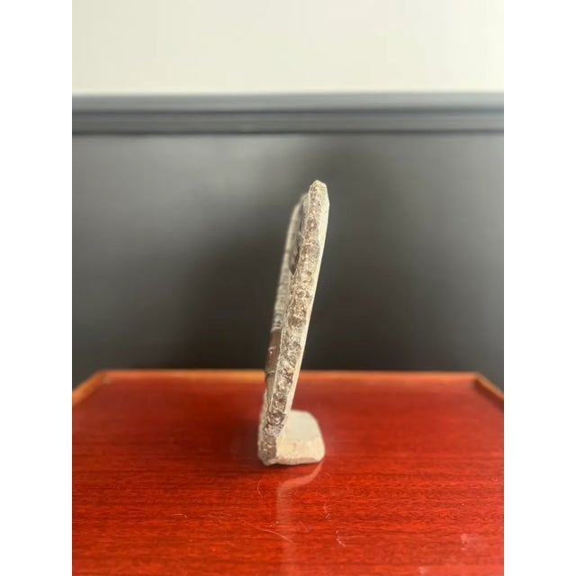 Fossilized Ammonite Plate in Stone For Sale - Image 3 of 5