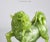 Early 20th Century Pair of Vintage Chinese Foo Dog Statues in Jade Color For Sale - Image 4 of 8