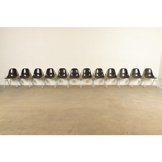 Herman Miller Charles & Ray Eames for Herman Miller DSS Seal Brown Stacking Shell Chairs | Set of Twelve For Sale - Image 4 of 15
