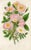 Original antique Rose print by Anne Pratt (1806-1893), one of the most successful English botanical illustrators in the...