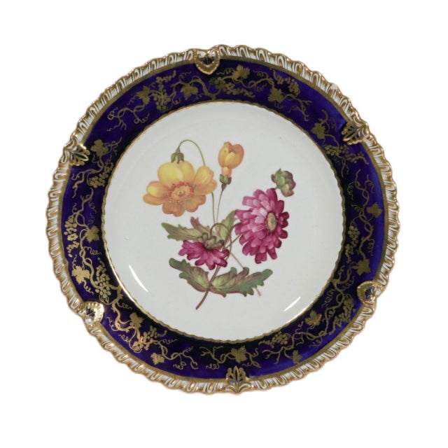 Ceramic Coalport Porcelain Botanical Plates, Set of Twelve, John Rose For Sale - Image 7 of 16