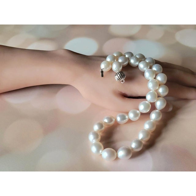 South Sea White Pearl Necklace With 14k Gold Clasp For Sale - Image 10 of 11
