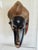 Tribal 20th Century Baule Portrait Mask in Lucite Museum Display For Sale - Image 3 of 11