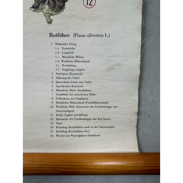 Textile Antique Linen School Map and Models, 1890s, Set of 3 For Sale - Image 7 of 12