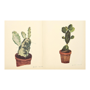 1939 Set of 2 French Cactus Botanical Lithographs, Documentation, Matted