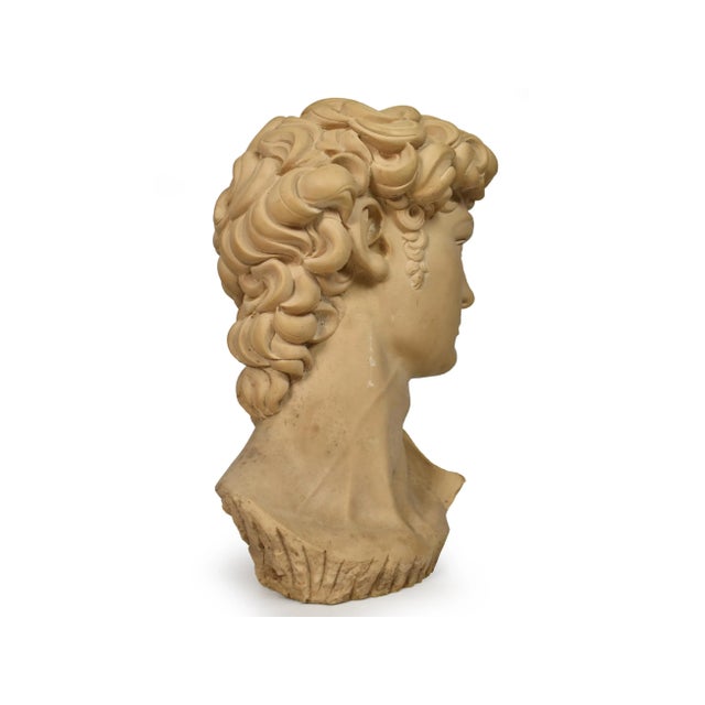 Late 20th Century Italian Bust of David After Michelangelo Made Signed Ennio Furiesi Sculpture For Sale - Image 4 of 13