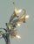 Antique Ca. 1900 Art Nouveau All Brass Table Lamp, Floral Motif For Sale In San Francisco - Image 6 of 11
