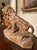 Italian Artist, Large Lion, 19th Century, Wood For Sale - Image 5 of 17