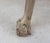 Small Antique Bleached Side Table with Claw and Ball Feet, 1800 For Sale - Image 6 of 11