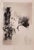 Woman is an original offset print realized by Leo Guida in 1962. Good Conditions. The artwork is depicted through strong...