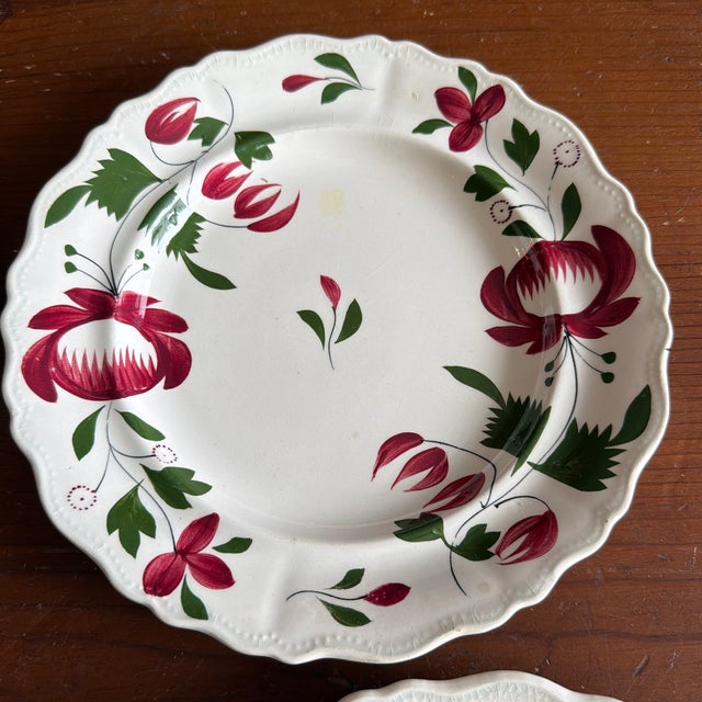 Ceramic A Very Nice Set of 7 of Antique Staffordshire Early Adam’s Rose Plates, Circa 1830 For Sale - Image 7 of 12