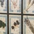 20th Century Italian Large Oak Frame with Pressed Flowers and Herbs, 1950s For Sale - Image 14 of 15