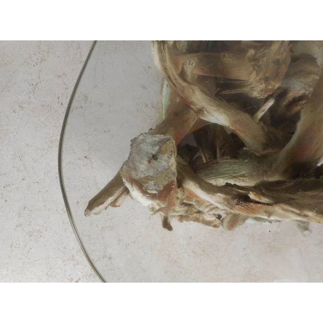 Beige Mid-century Modern Glass Top Driftwood End Table For Sale - Image 8 of 8