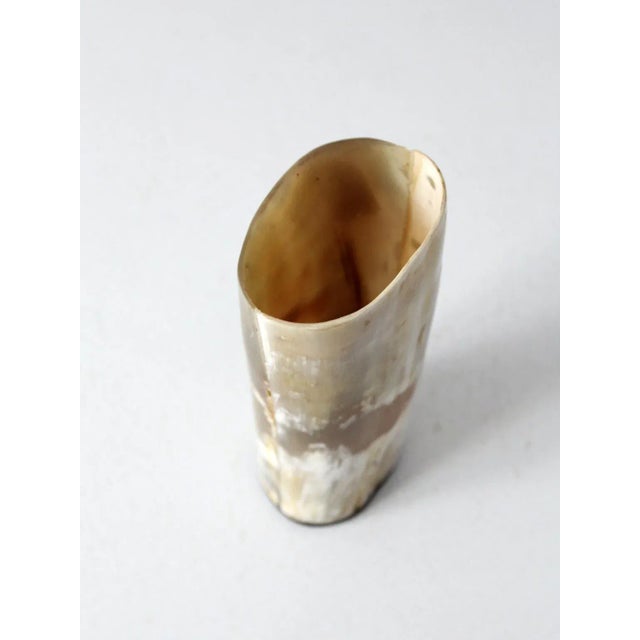 Textile Vintage Cow Horn Vase For Sale - Image 7 of 10