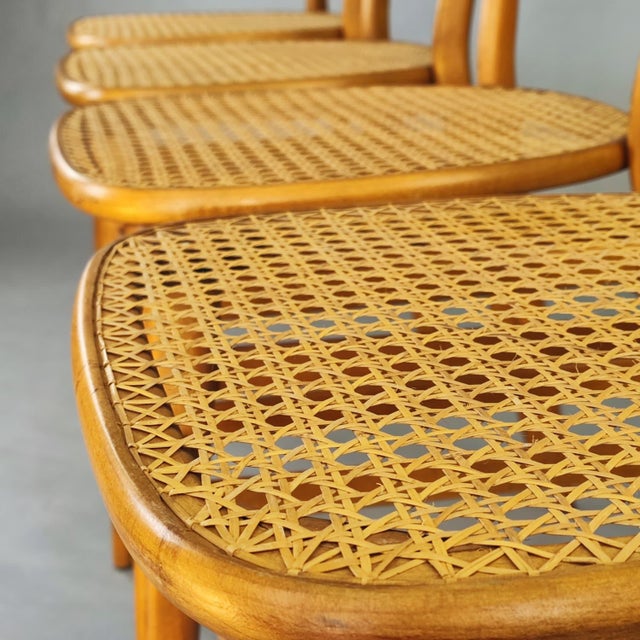 Wood Chiavarine Chairs in Vienna Straw, 1950s, Set of 4 For Sale - Image 7 of 9