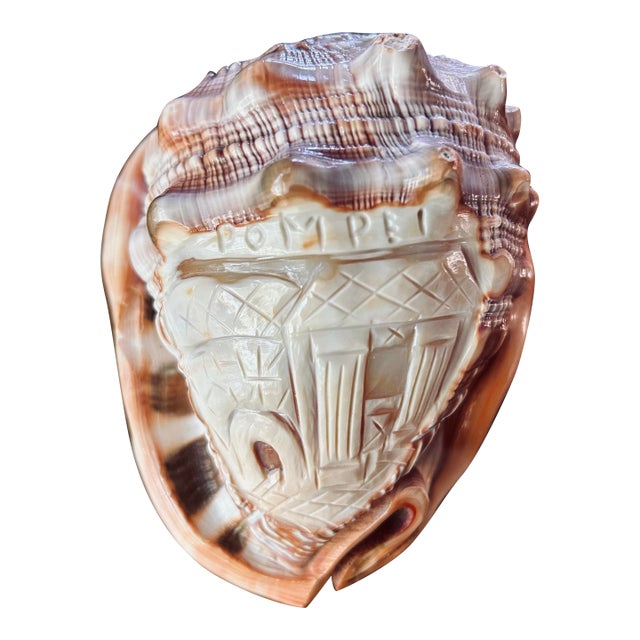 Hand Carved Pompeii Conch Shell For Sale