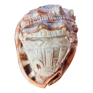 Hand Carved Pompeii Conch Shell