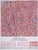 Cerisier en Fleurs Poster after Damien Hirst For Sale