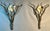 1980s Brutalist Wall Sconces Brutalist Style Organic Glass in Iron Branches - Pair For Sale - Image 4 of 5