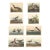 Vintage Reproductions of 1966 John James Audubon Waterbird Prints Featuring Birds, Plovers and Sandpipers - Collection of 4 For Sale