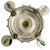 1950s English Silverplate 5-Arm Candelabra by Roberts & Belk in a Neo-Rococo Style For Sale - Image 11 of 12