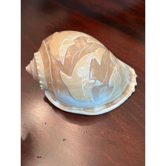 Beautiful scotch bonnet seashell with dolphins carved on the surface. The workmanship is simply stunning. The seashell...