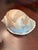 Beautiful scotch bonnet seashell with dolphins carved on the surface. The workmanship is simply stunning. The seashell...