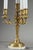 1900 - 1909 Louis XVI Candelabra in Gilt Bronze, 1900s, Set of 2 For Sale - Image 5 of 18