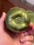 Metal Mid 20th Century Evans Hand- Enameled Green Pear Lighter and Tray With Leaf Accent For Sale - Image 7 of 12