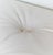 Lounge Chair by Hartmut Lohmeyer for Mauser Werke Waldeck, 1960s For Sale - Image 4 of 18
