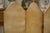Wood 19th Century Gilt Screen with Oil Painting of Floral Decoration For Sale - Image 7 of 11