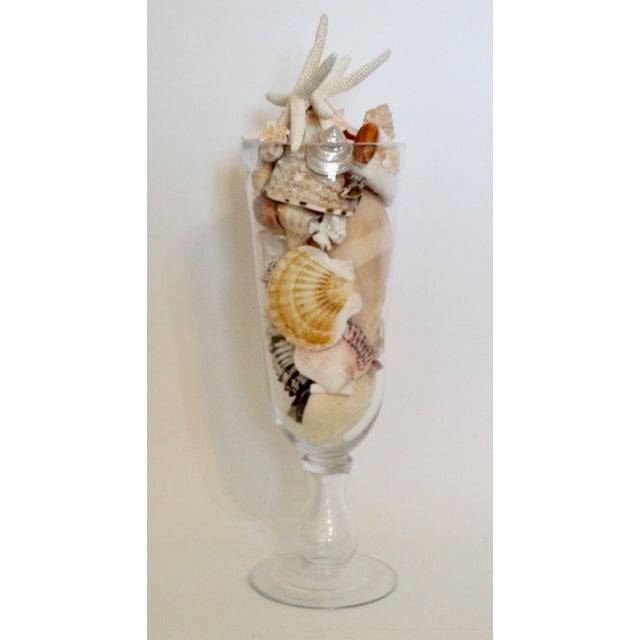Late 20th Century Large Coastal Vase With Seashell Collection 19.5 Inches For Sale - Image 5 of 9