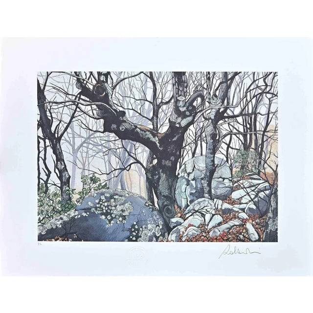 Rolandi (Maurizio Coccia), In The Forest, Screen Print, 1980s For Sale