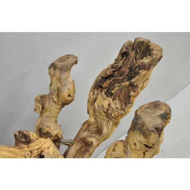 Vintage Mid Century Modern Natural Burl Driftwood Demilune Glass Console Table For Sale - Image 11 of 18