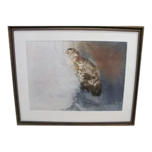 Kaiko Moti "Owl", 36"w X 29"h Print Under Plexi Signed and Numbered 63/65