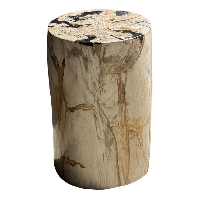 Small Side Table in White Petrified Wood Inlaid with Black, 1980s For Sale